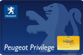 card-peugeot.png